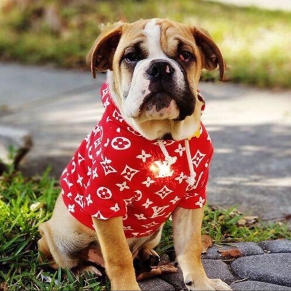 Pawmain “Pupreme” Supreme x Louis Vuitton Collab - Inspired Hoodie for Dogs - Picture 6 of 11